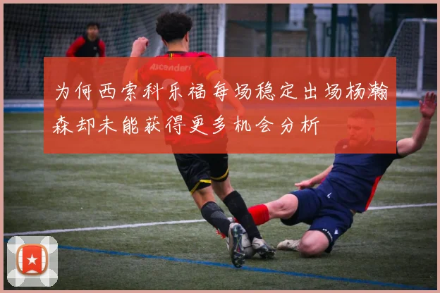 为何西索科乐福每场稳定出场杨瀚森却未能获得更多机会分析