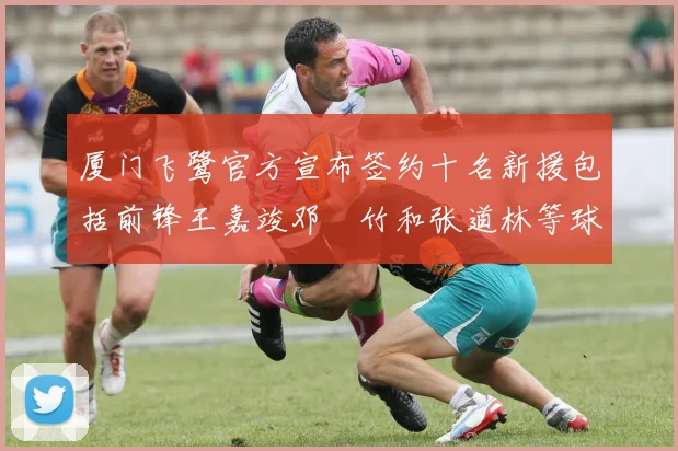 厦门飞鹭官方宣布签约十名新援包括前锋王嘉竣邓棽竹和张道林等球员