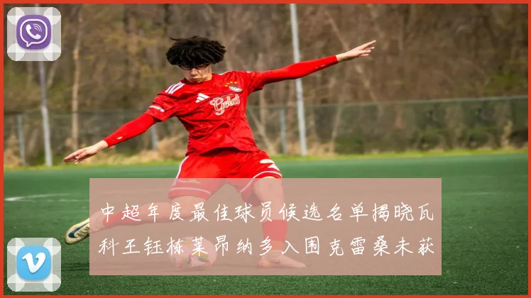中超年度最佳球员候选名单揭晓瓦科王钰栋莱昂纳多入围克雷桑未获提名