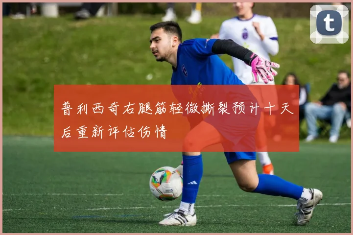 普利西奇右腿筋轻微撕裂预计十天后重新评估伤情