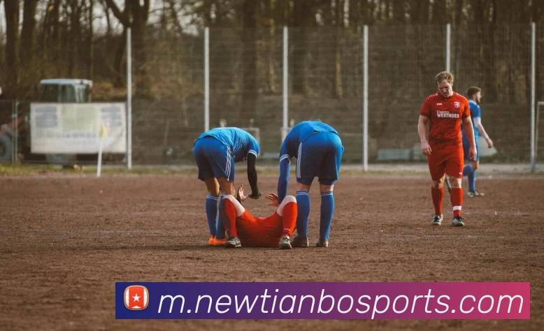 天博体育平台生态图